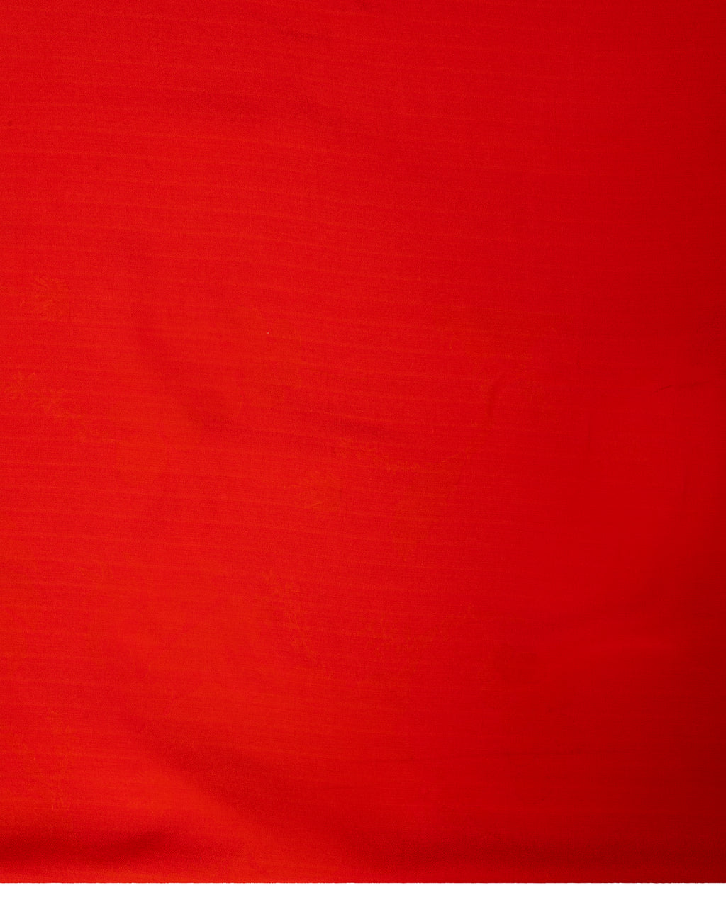 Banarasi Kora Saree With Bird Prints In Cherry