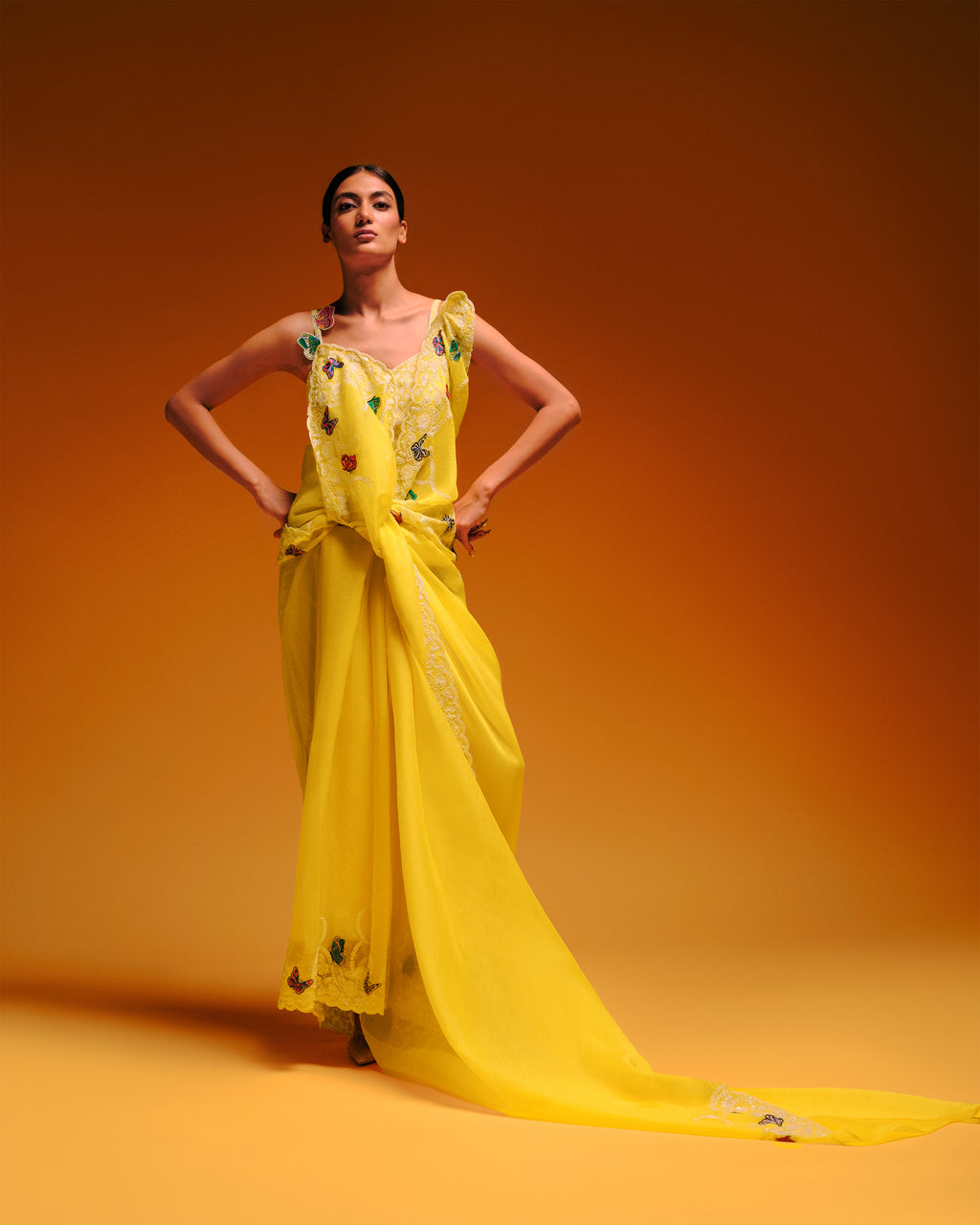 The Papillon Saree