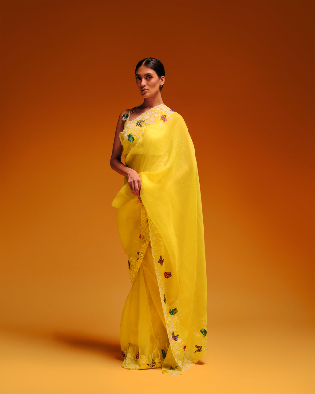 The Papillon Saree
