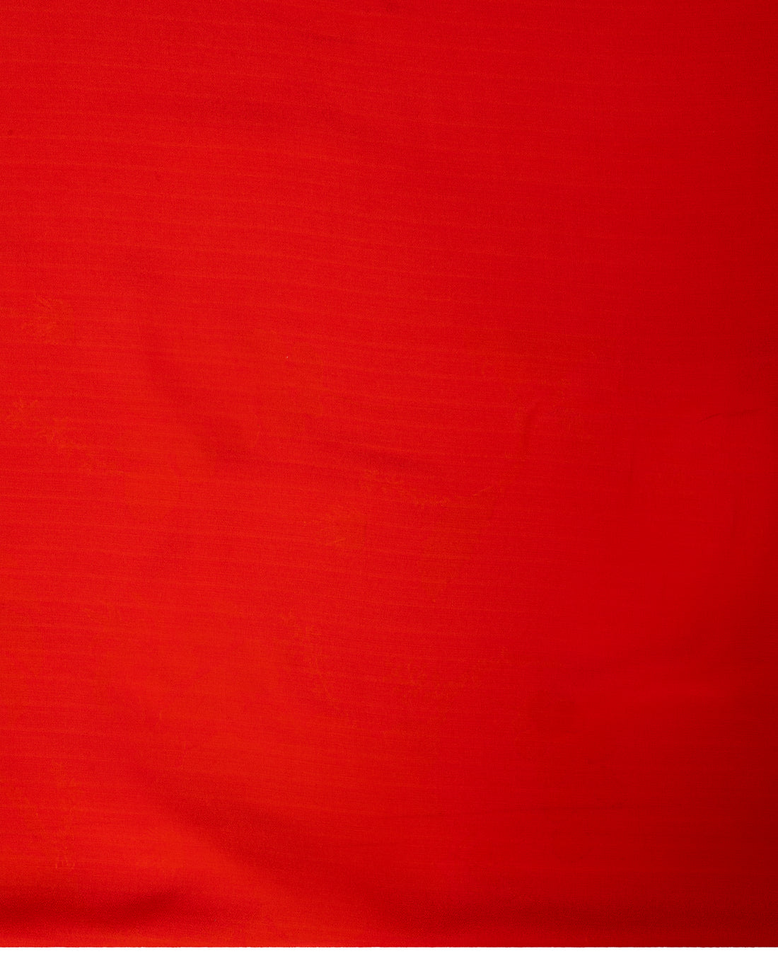Banarasi Kora Saree With Bird Prints In Cherry