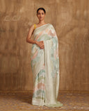 Aadrika Jaal Multicolor Georgette  Saree