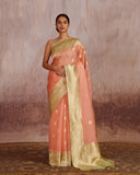 Lavani Gold Zari Buti Saree Kora