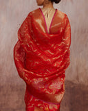 Gold Zari Handwoven Saree Kora