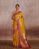 Nitya Golden Zari Stripe Pattern Saree Kora