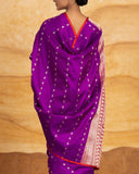 Tatvika Geometrical Handwoven Saree Silk
