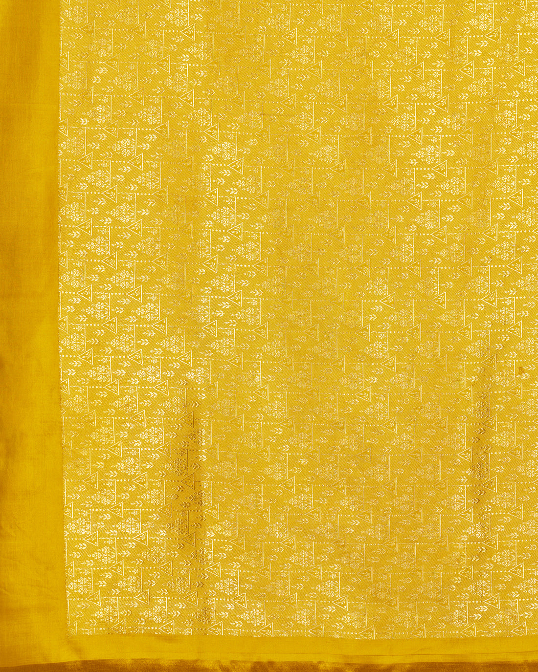 Sugar Marigold