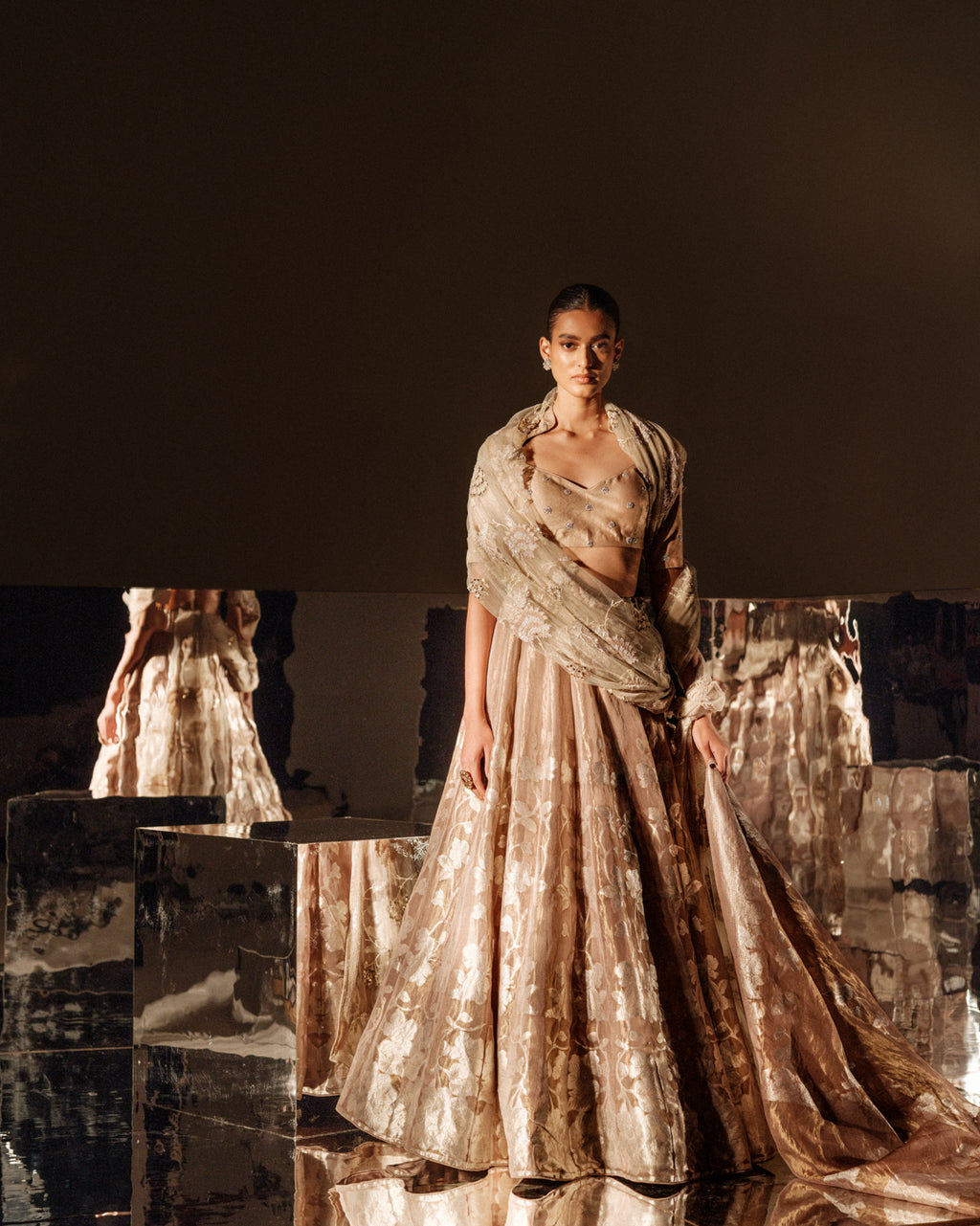 Golden Aura Botanical Banarasi Lehenga Set