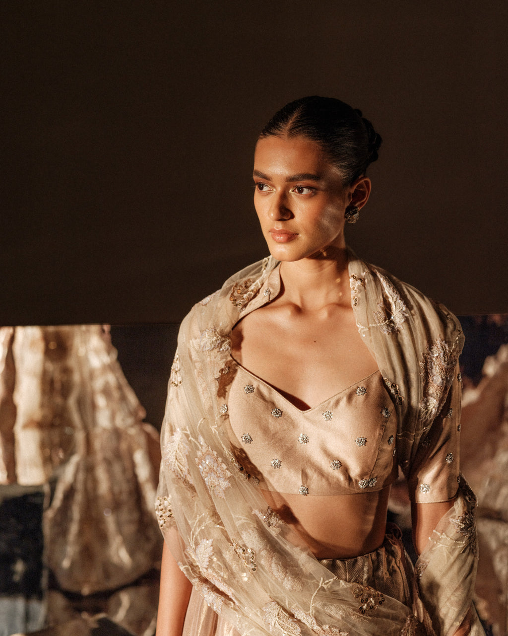 Golden Aura Botanical Banarasi Lehenga Set