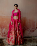 Rani pink banarasi silk lehenga