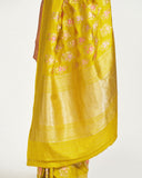 Sugar Marigold