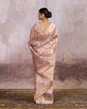 Golden Zari Floral Jaal Saree Pure Kora