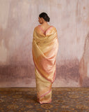 Aadrika Jaal Saree Tusser Georgette